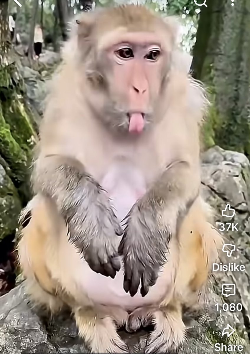 OnyxCrack's tweet image. me trying to watch regular television these days 🥴 youtube.com/shorts/U6KNDzk…