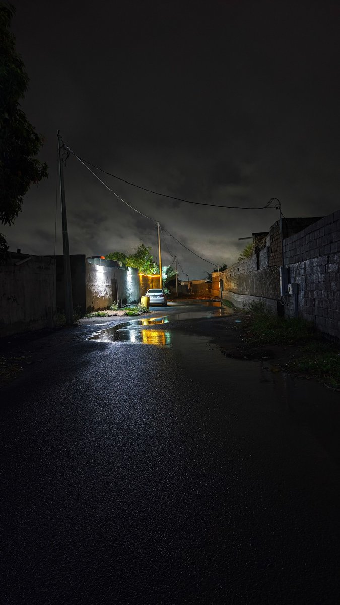 سنيوري tweet media