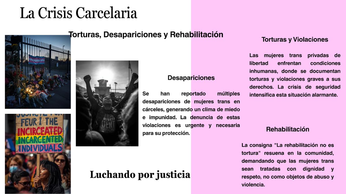 AlfilAsociacion's tweet photo. #RedTransEC 🏳️‍⚧️
Autoría de Shar Owens 

Hoy, 20 de Noviembre, el silencio es imposible. 🕯️ Es el Día Internacional de la Memoria Trans, la conmemoración se viste de urgencia 🏳️‍⚧️
#DiaDeLaMemoriaTrans #20deNoviembre #Ecuador #NiUnaTransMenos #VidasTransImportan https://t.co/e4DdUQjpZ8