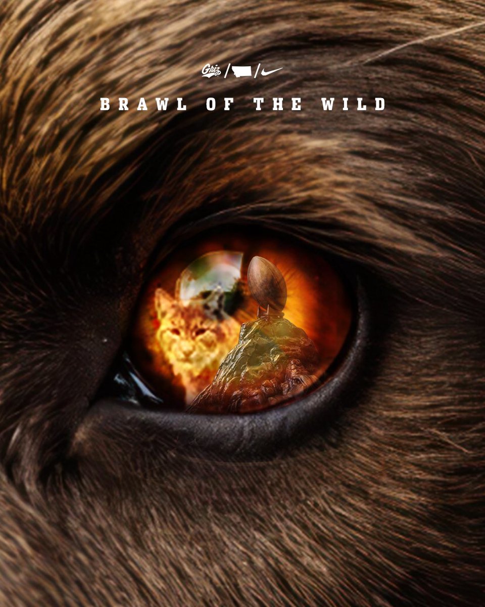 Montana Griz Football tweet media