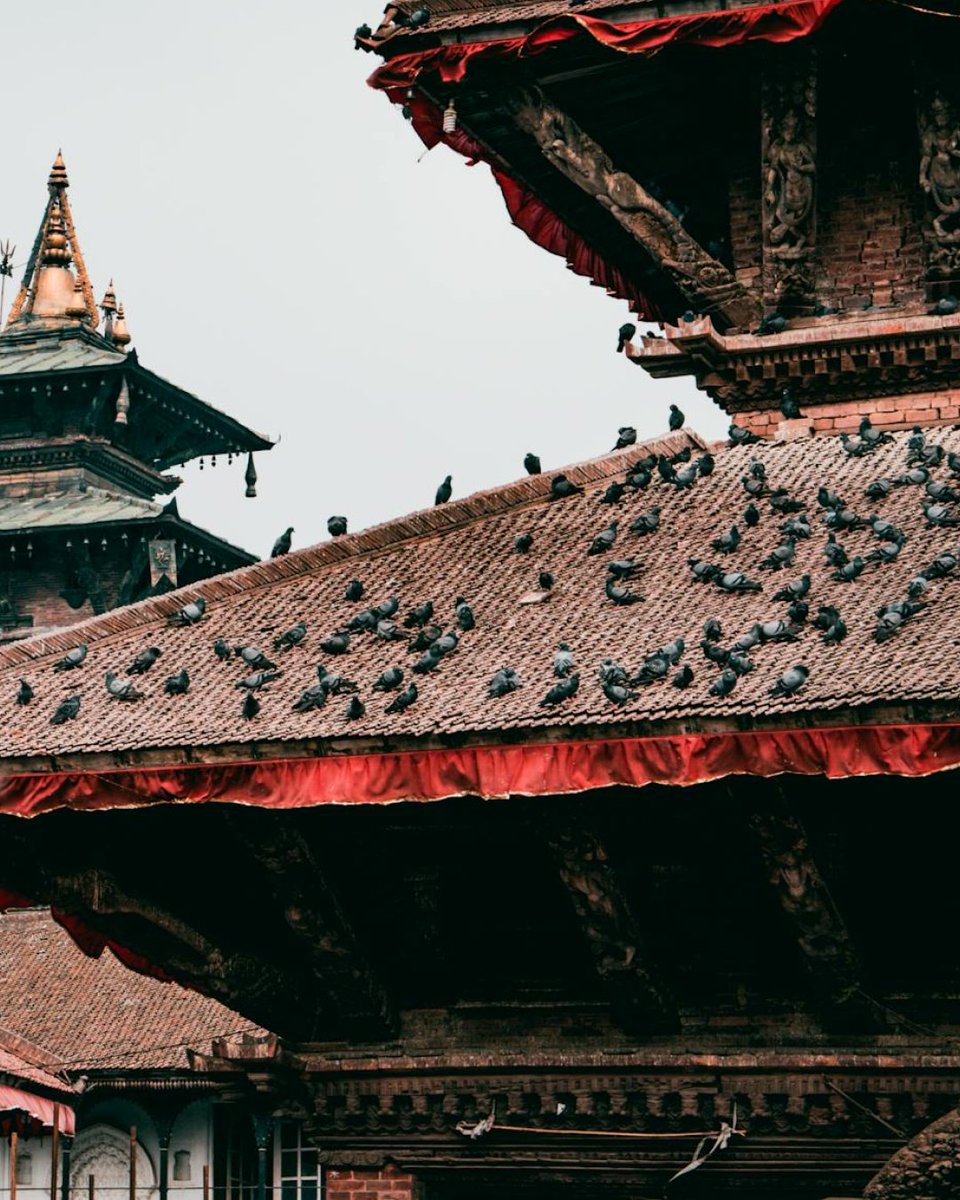 FromSors's tweet image. The story of Shilajit is woven into the culture of the mountains. Each batch is a tribute to centuries of Ayurvedic knowledge and sacred tradition.

#shilajitbenefits #shilajitresin #himalayanshilajit #shilajitenergy #ukwellness #holisticlivinguk #mineralrich #wellnessfromwithin