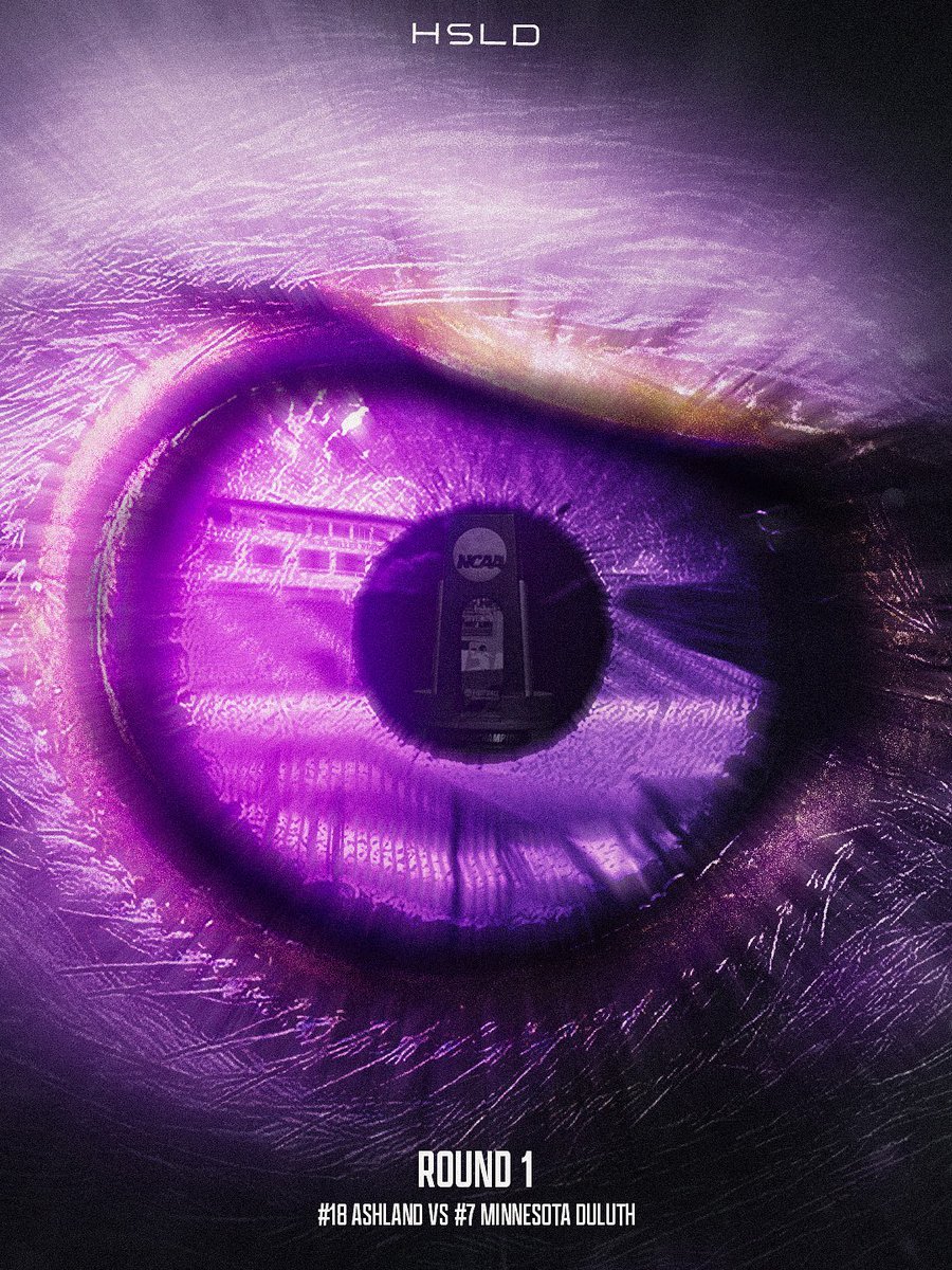 Eyes on it🦅 #Raisetheflag #HSLD