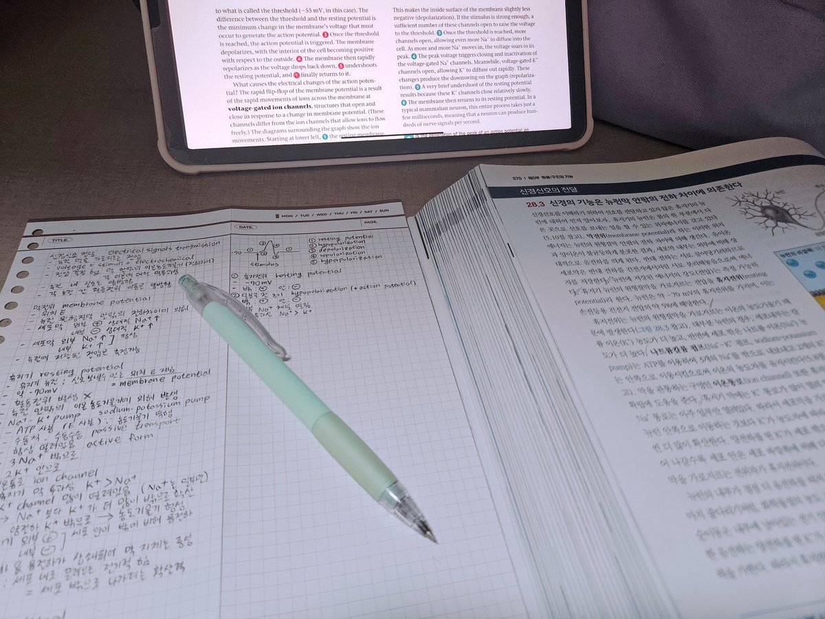 studystudyday's tweet image. 