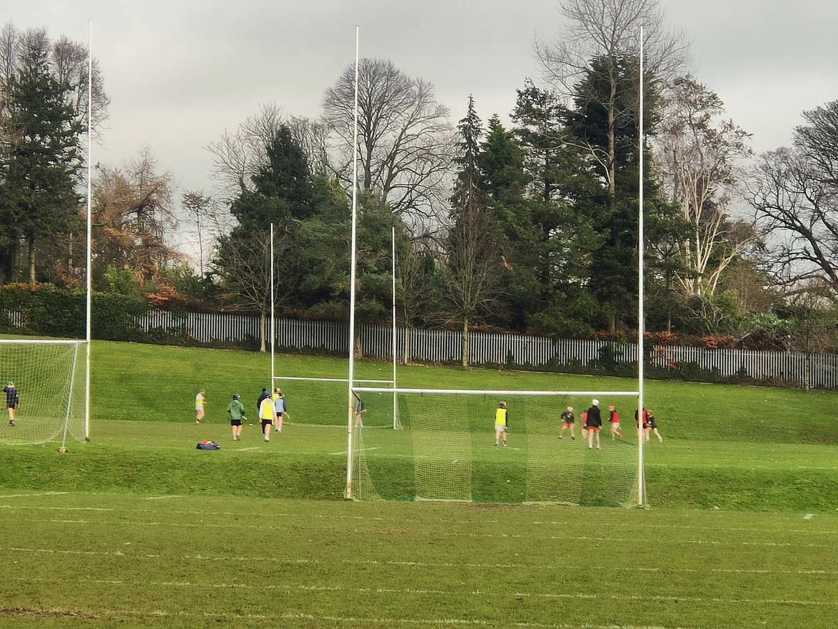 Ronan Sheehan tweet media