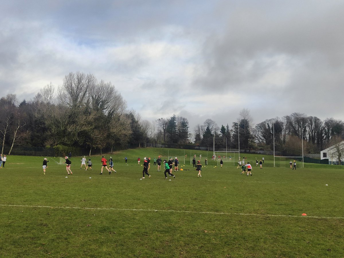 Ronan Sheehan tweet media