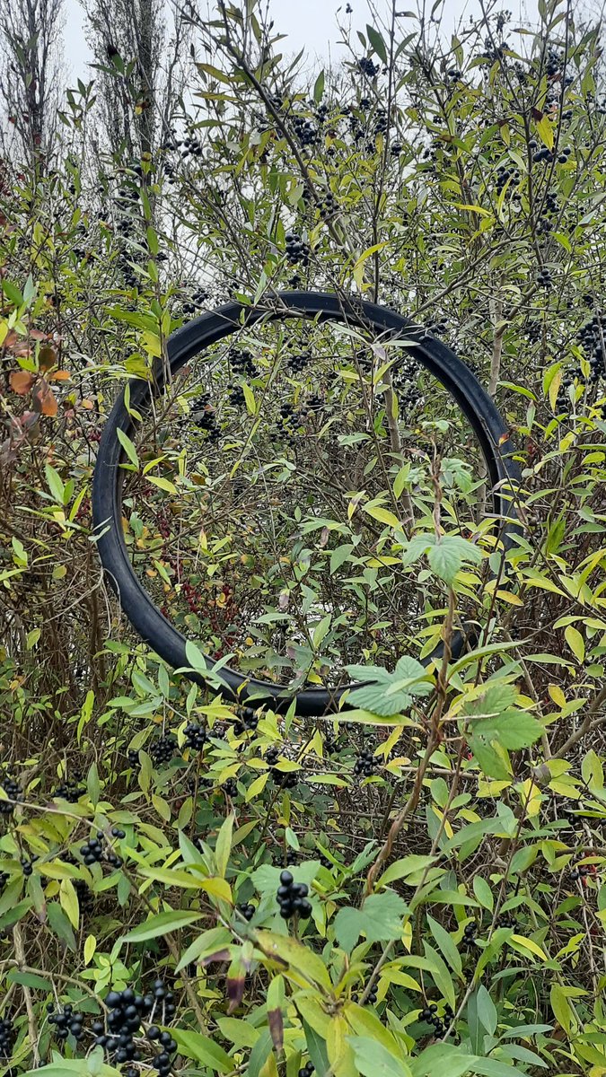 Paulina Kosowska (@paulinakosowsk3) on Twitter photo 