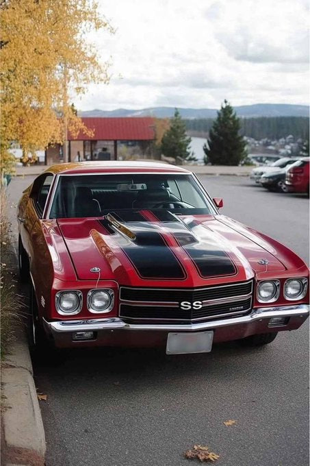 Does anyone like this?