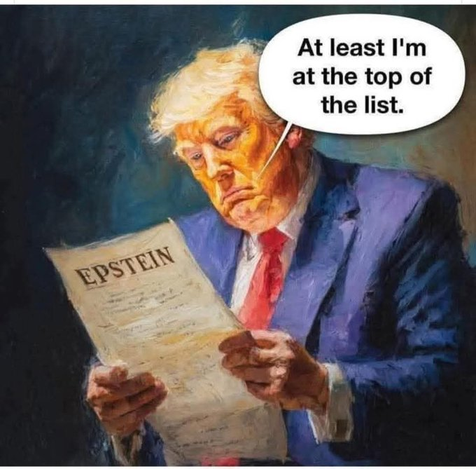 stigahund's tweet image. 