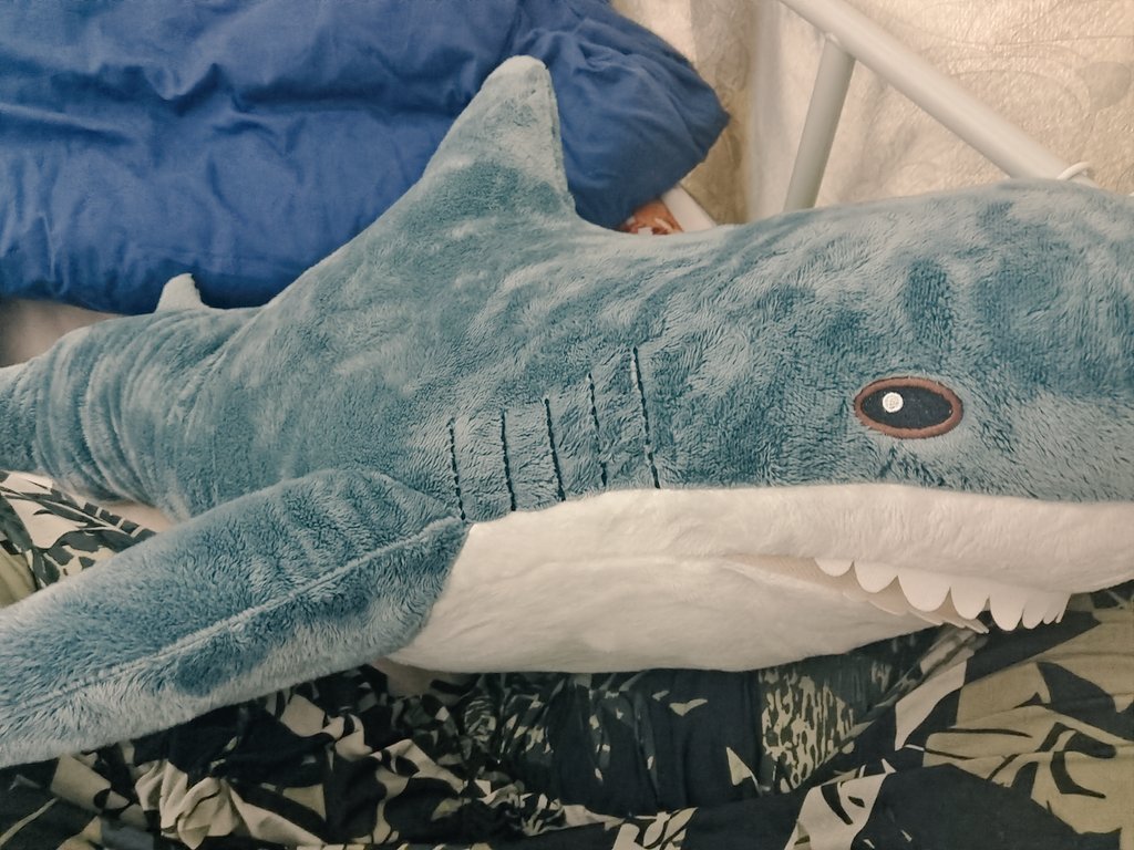 几年来一直没舍得买的鲨鲨
劝当做送给自己的床搭子了