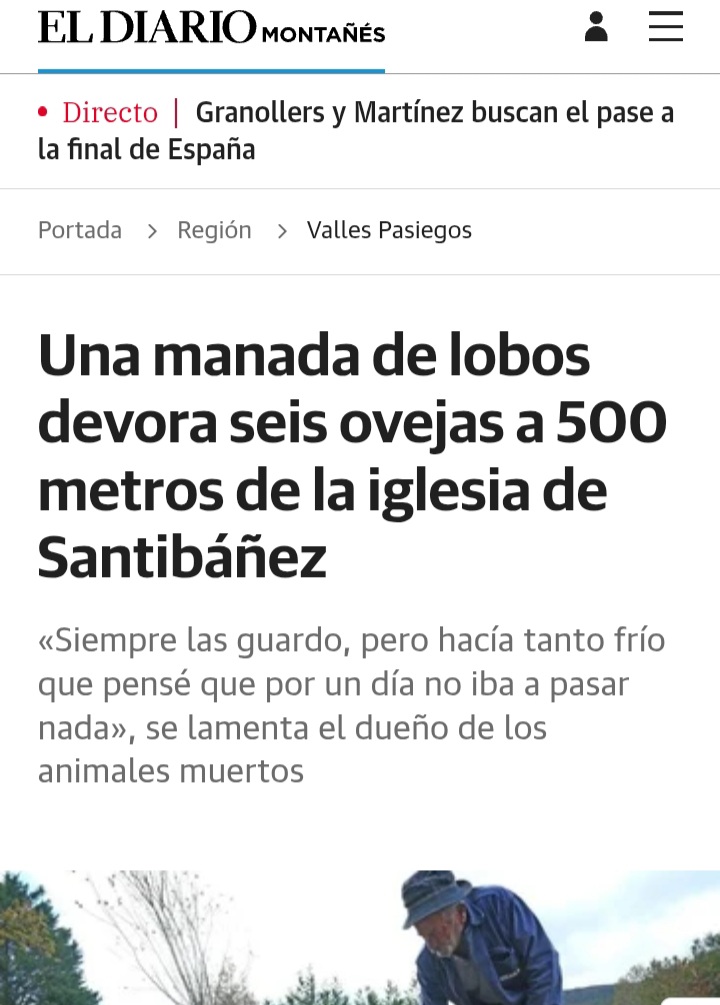 "Siempre las guardo, pero hacia tanto frío que pensé que por un día no iba a pasar nada".

No hay más preguntas señoría.