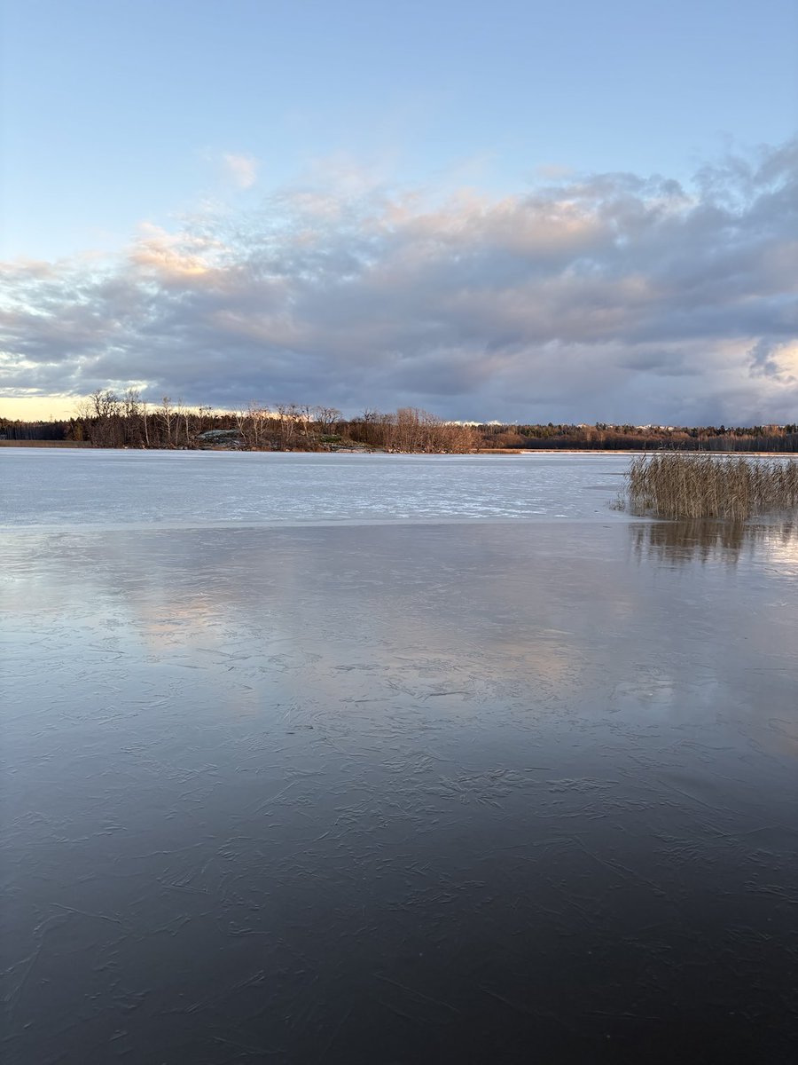 Ihana valo kauniissa syyssäässä 🍂#Helsinki 🧡