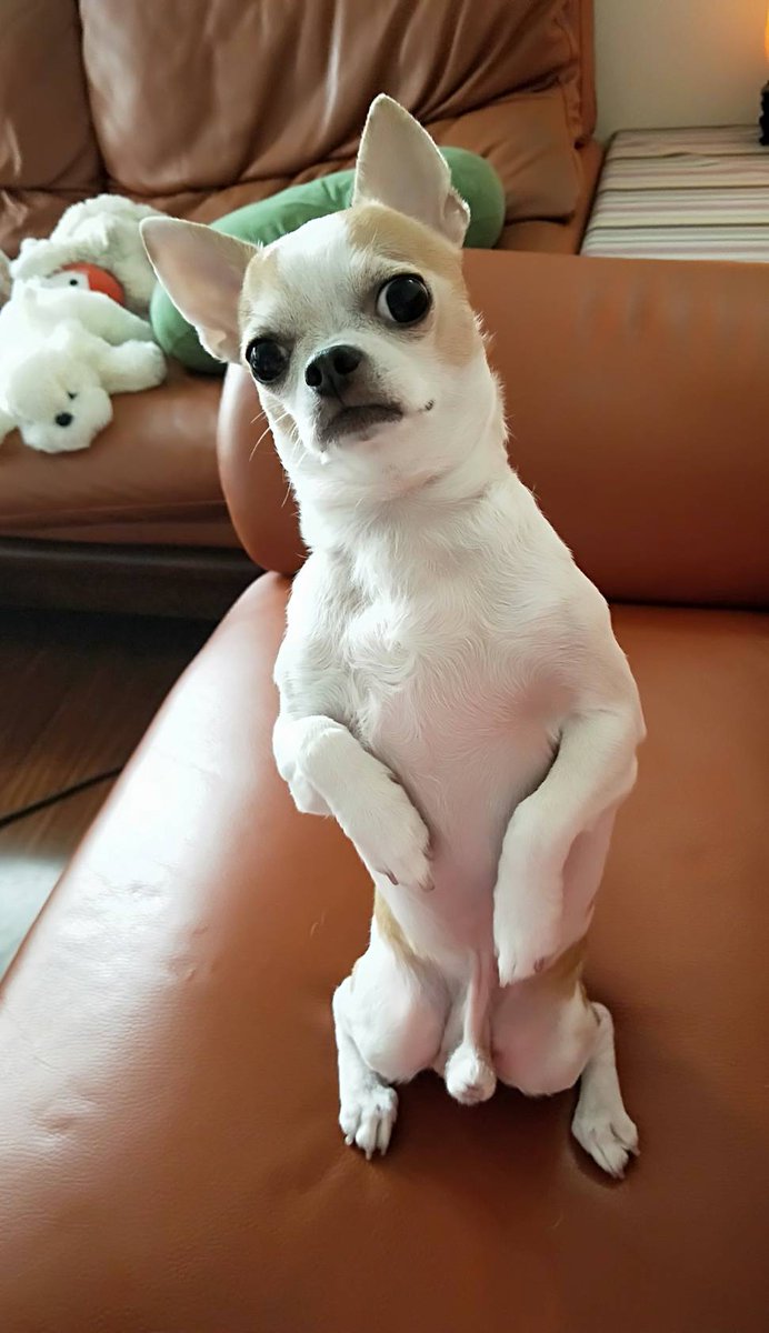 Sothothmin tweet media