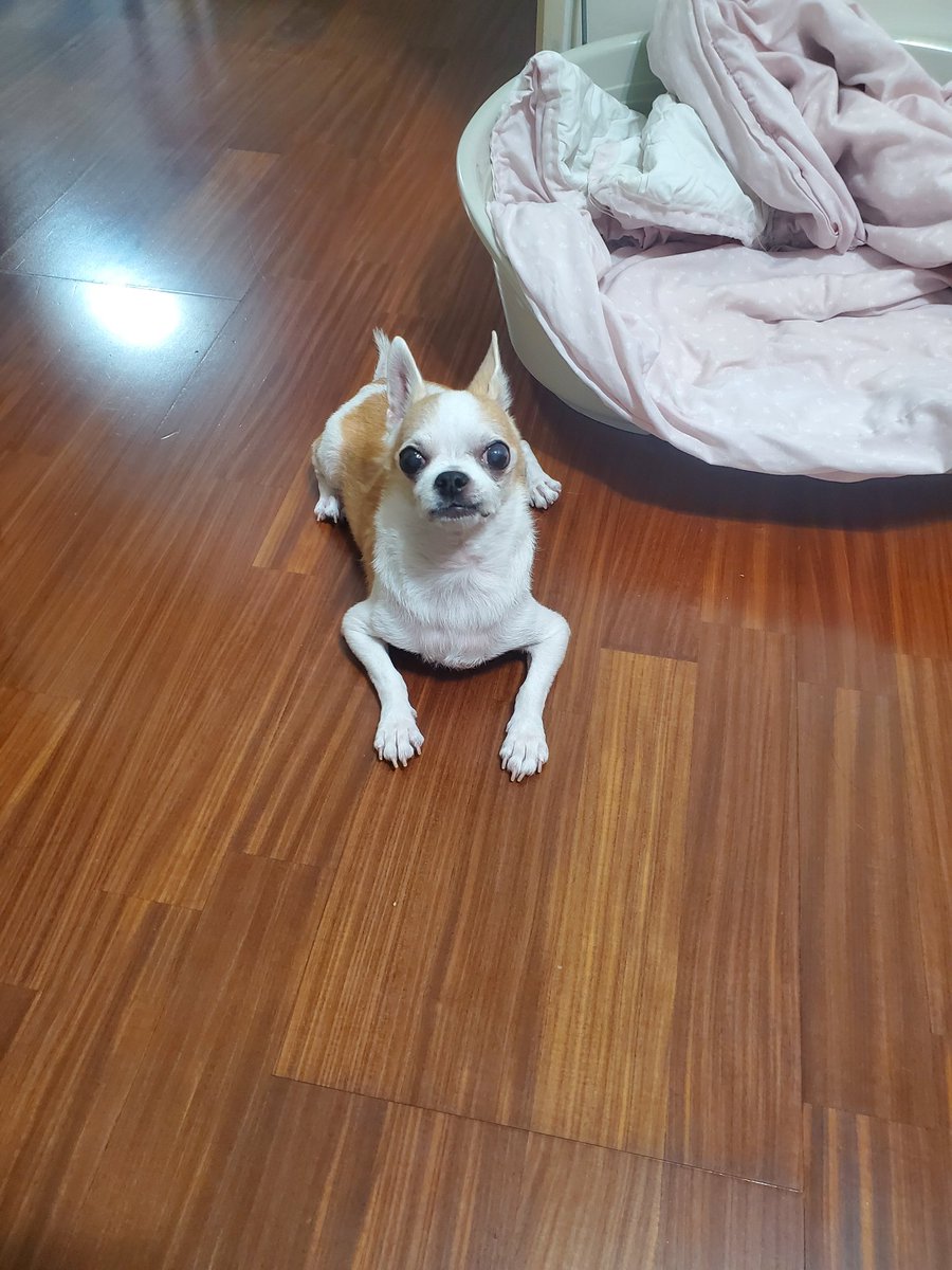 Sothothmin tweet media