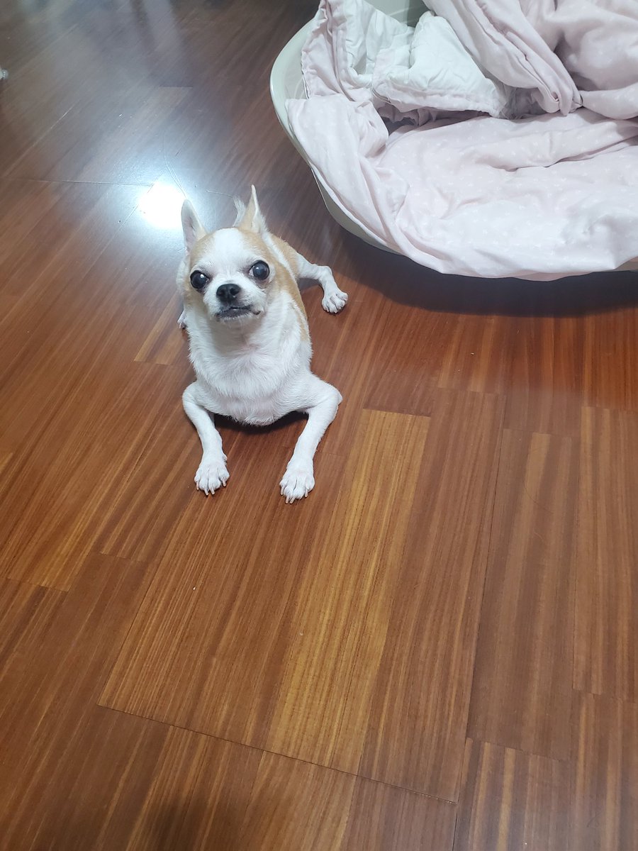 Sothothmin tweet media