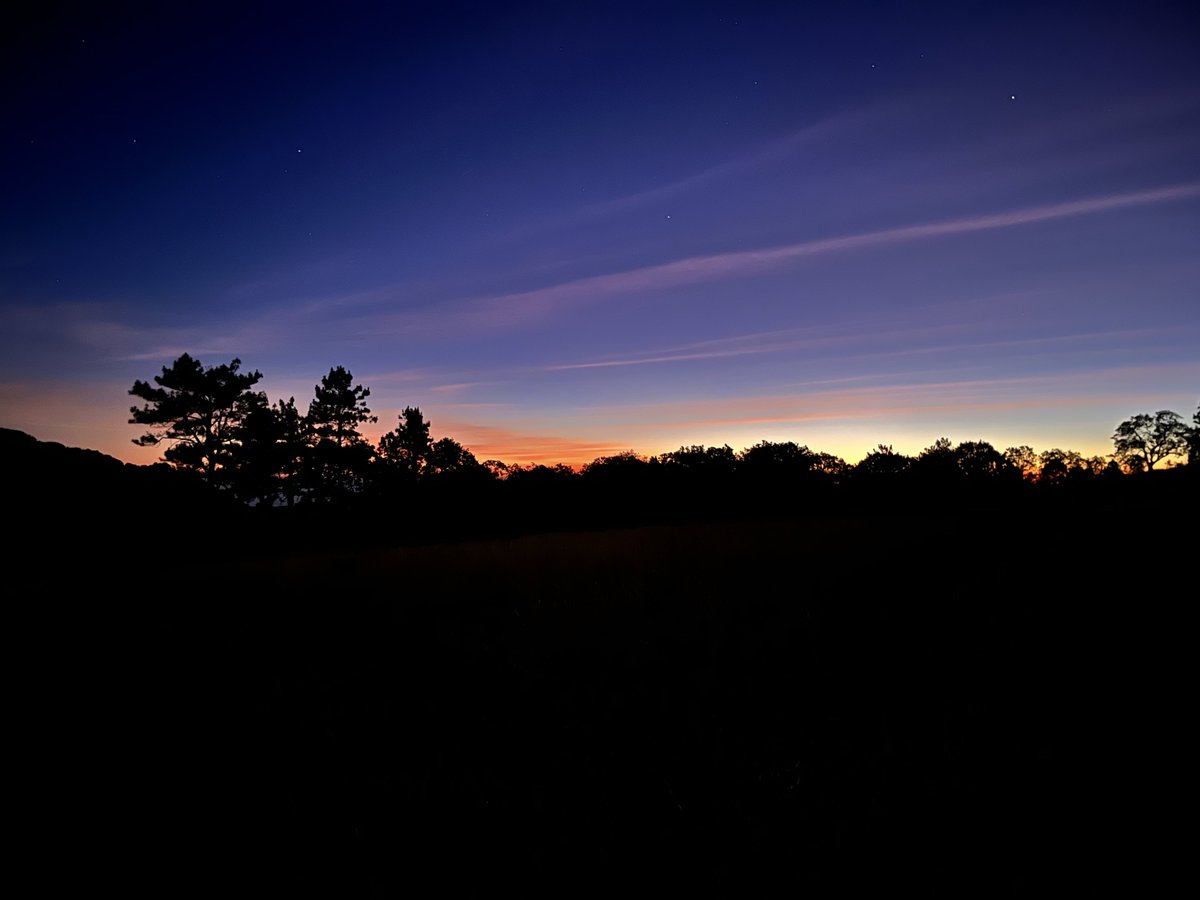 indian_pitta's tweet image. From dusk to dawn, show us what you’ve got!!