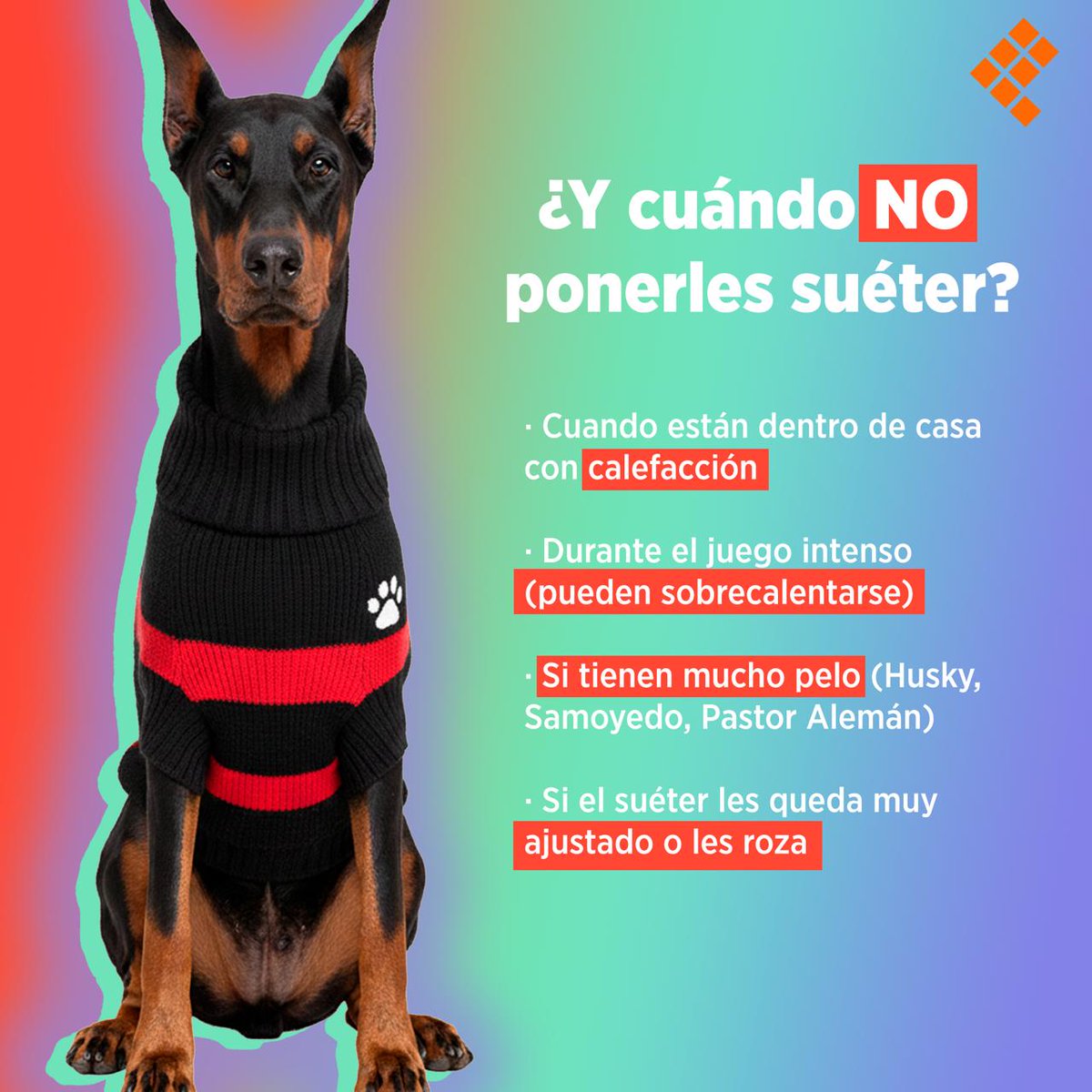 ¡El frío ya llegó y nuestros lomitos también lo sienten! ❄️🐕

Aunque no todos necesitan ropa, algunas razas y perritos vulnerables sí requieren suéter para mantenerse calientitos y evitar enfermedades. 🧥💛

¡Cuidarlos también es abrigarlos! 🐾✨
.
#Perritos #animales #animals