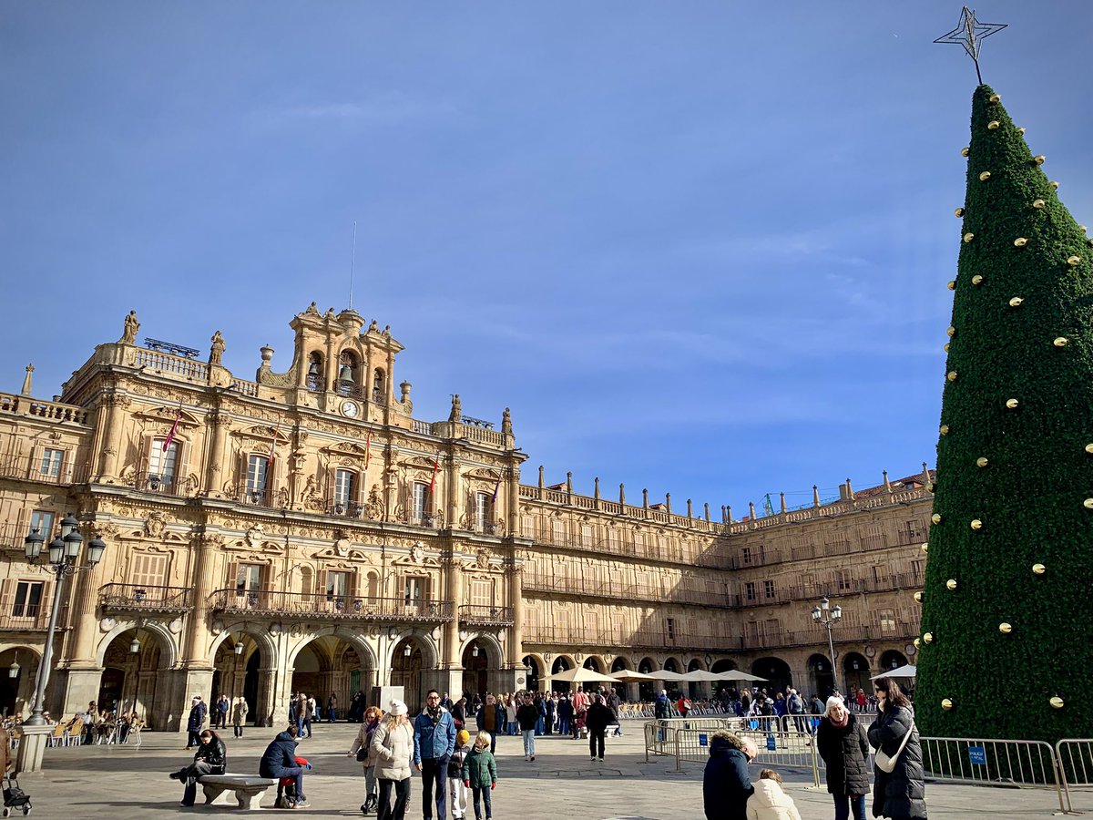 isaabelrico's tweet image. Hay gente que viaja a Tailandia sin haber visto esto antes 😶