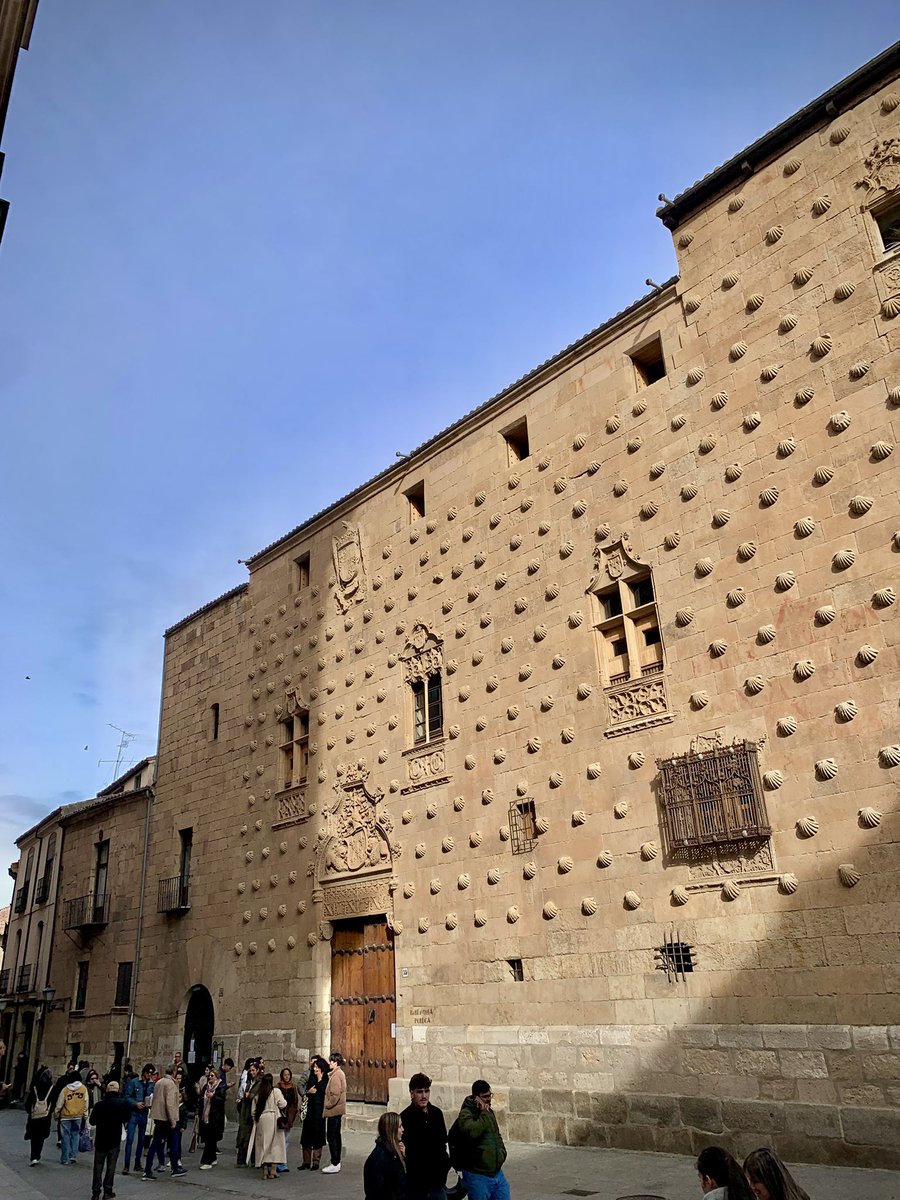 isaabelrico's tweet image. Hay gente que viaja a Tailandia sin haber visto esto antes 😶