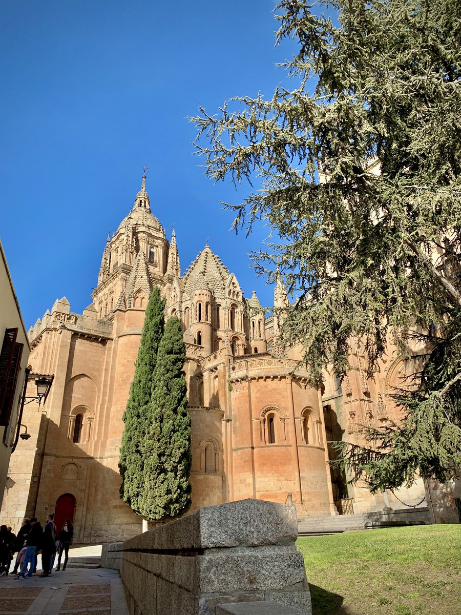 isaabelrico's tweet image. Hay gente que viaja a Tailandia sin haber visto esto antes 😶