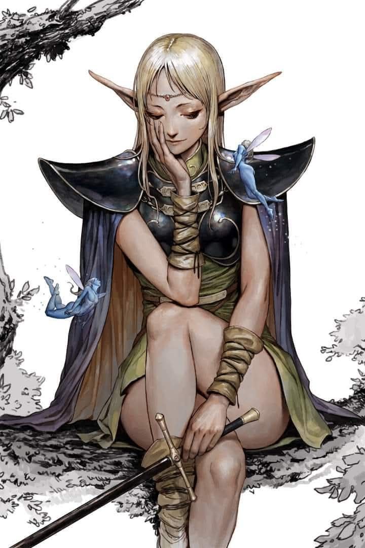 90sPiictures's tweet image. Record of Lodoss War (1990)