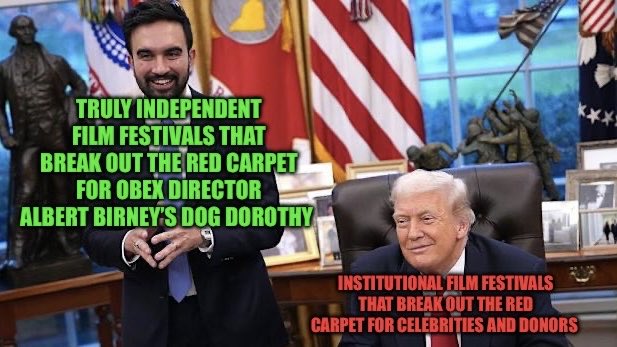 New/Next Film Festival tweet media