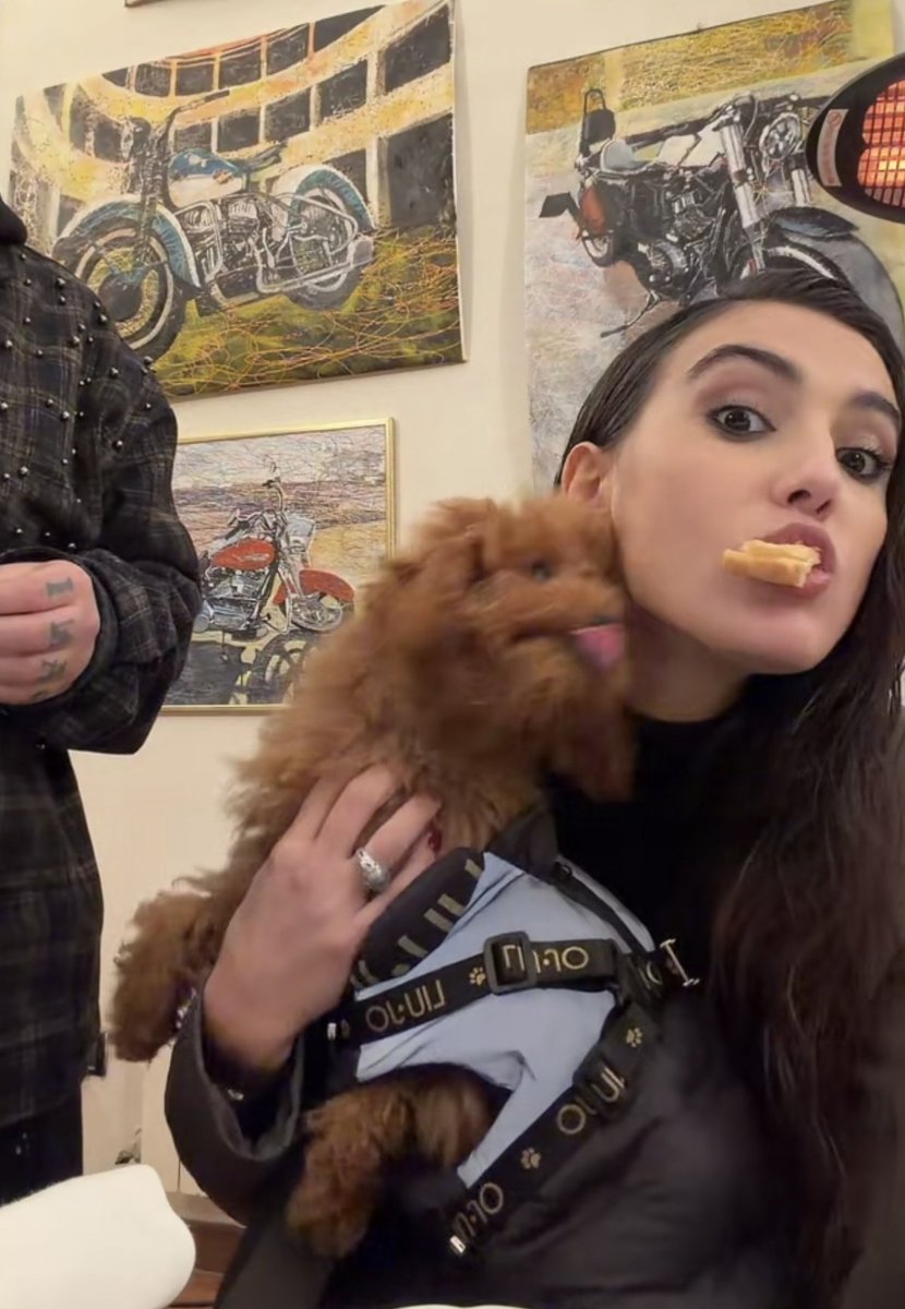 CormenkoIsReal_'s tweet image. Puppies 💗
#zeudiners #ZeudixRoma