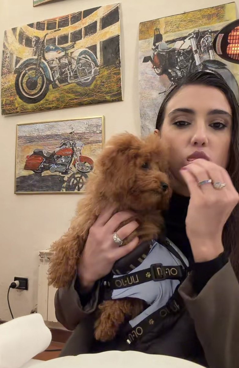 CormenkoIsReal_'s tweet image. Puppies 💗
#zeudiners #ZeudixRoma