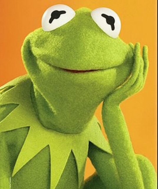 KERM 🐸 tweet media