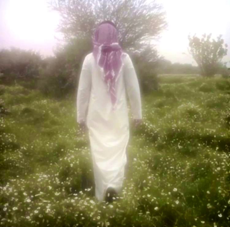 تويتر بدون حسابات الفتن