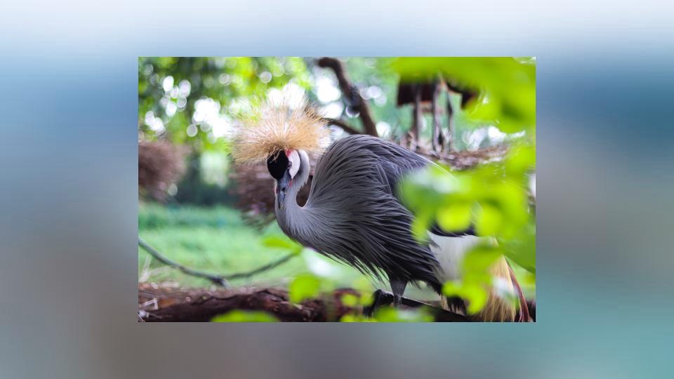 humantorchGmor's tweet image. Positivity fuels progress—keep your mindset aligned.Sky blazes orange—sunrise’s bold 🌞🍊​🧣