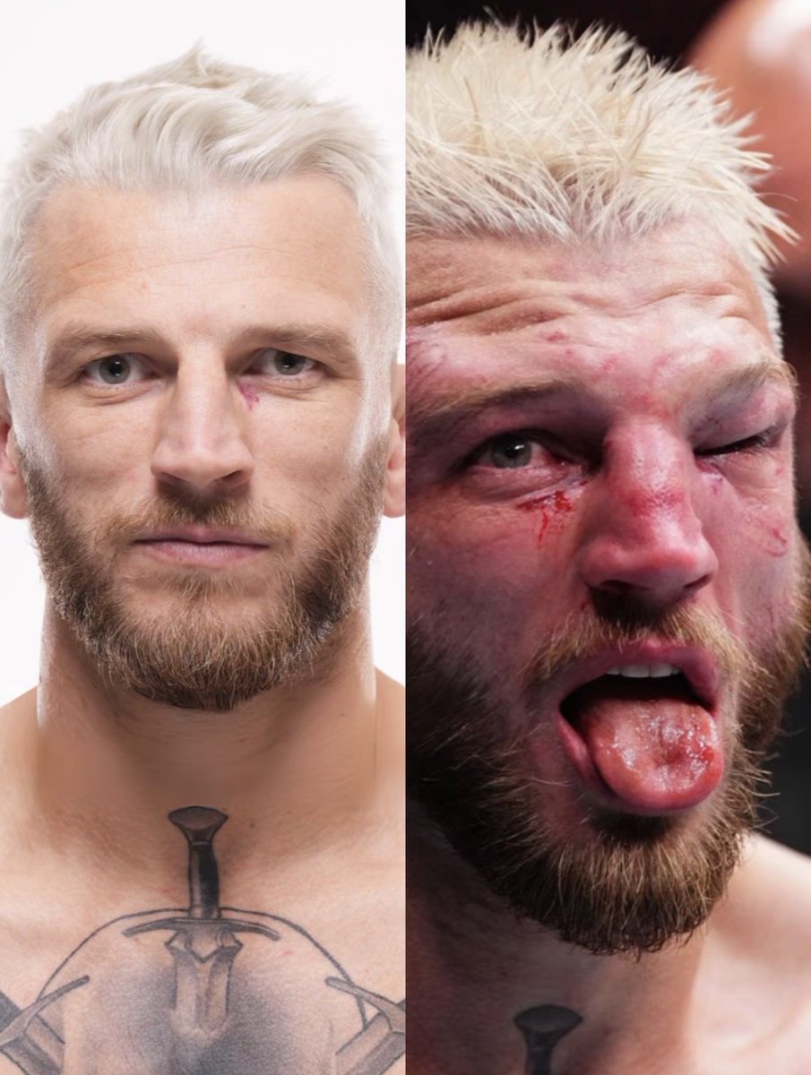 Bloody Elbow tweet media