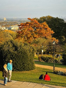 In the middle of nature, everything feels right 🌲💚