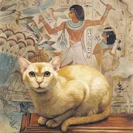 bob_brooke's tweet image. #Cats played an important role in #ancient #Egypt, not only in everyday life but especially in #religion. Learn more at
facebook.com/antiquesandmor…