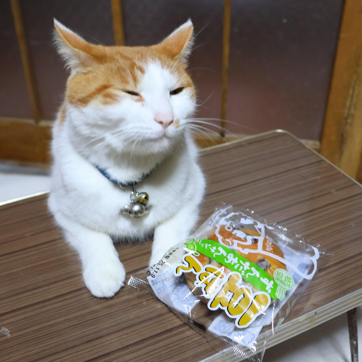 かご猫 blog (@shironeko_1) / Posts / X