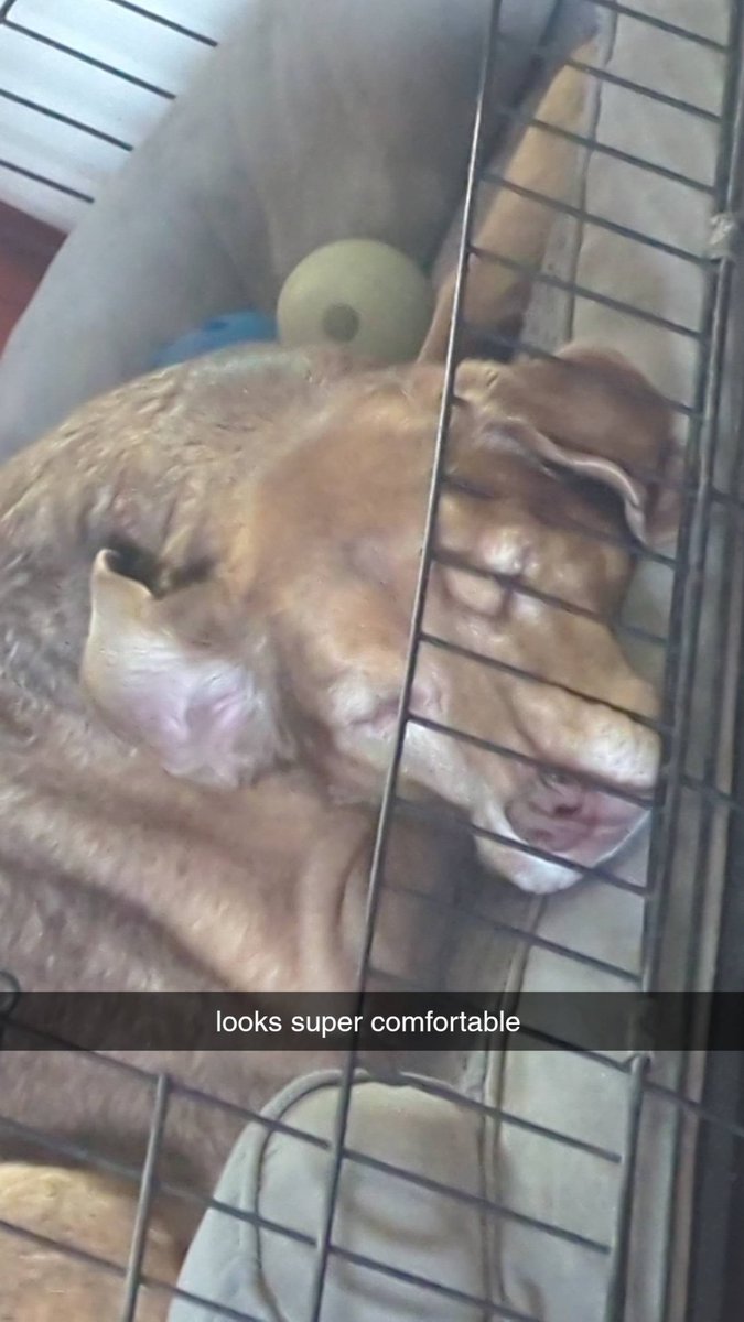 NicholasFNS's tweet image. 