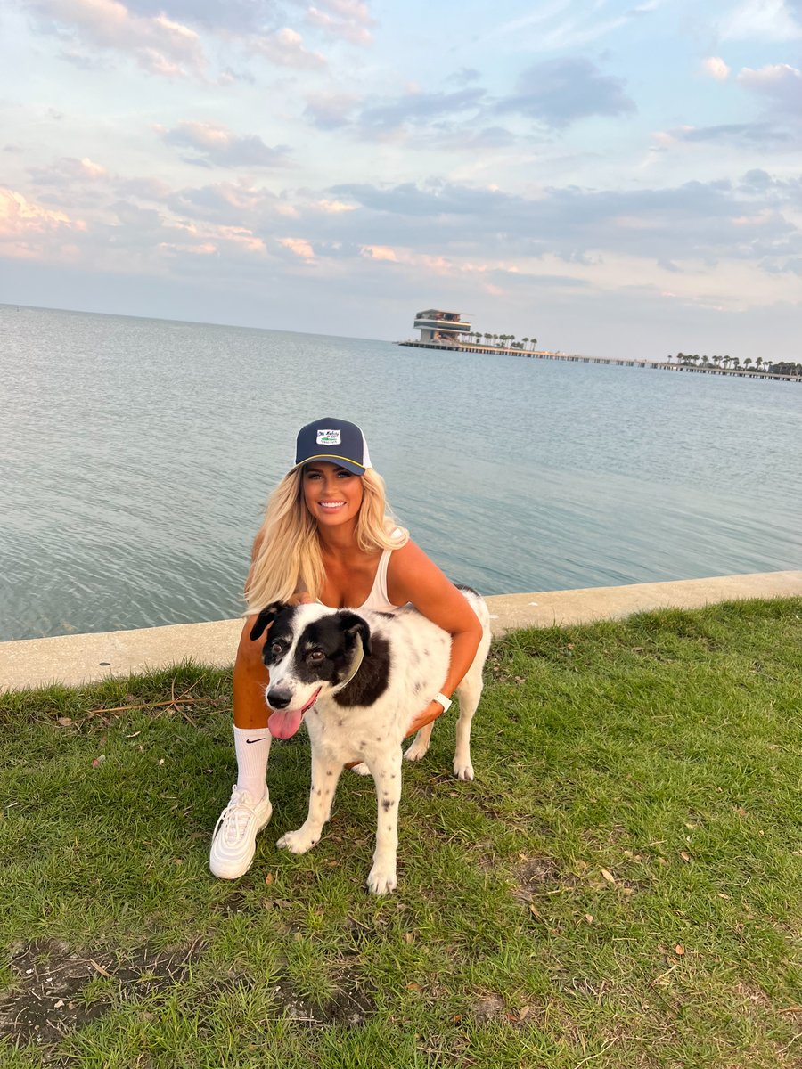 guess my favorite animals (wrong answers only lol)