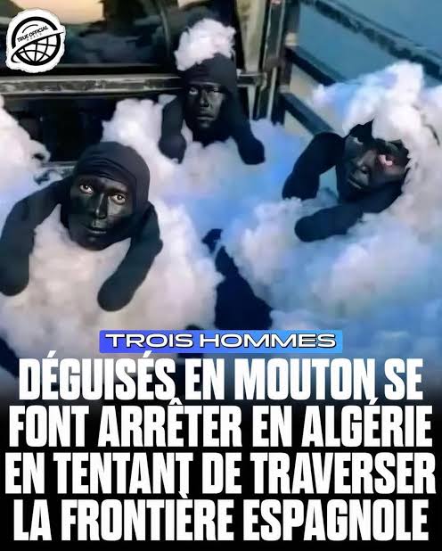 لقطة السنة
مخلوقات لامثيل لها
دزايريين متنكرين في صوف الخراف
حصلوا غايحركو لاسبانيا