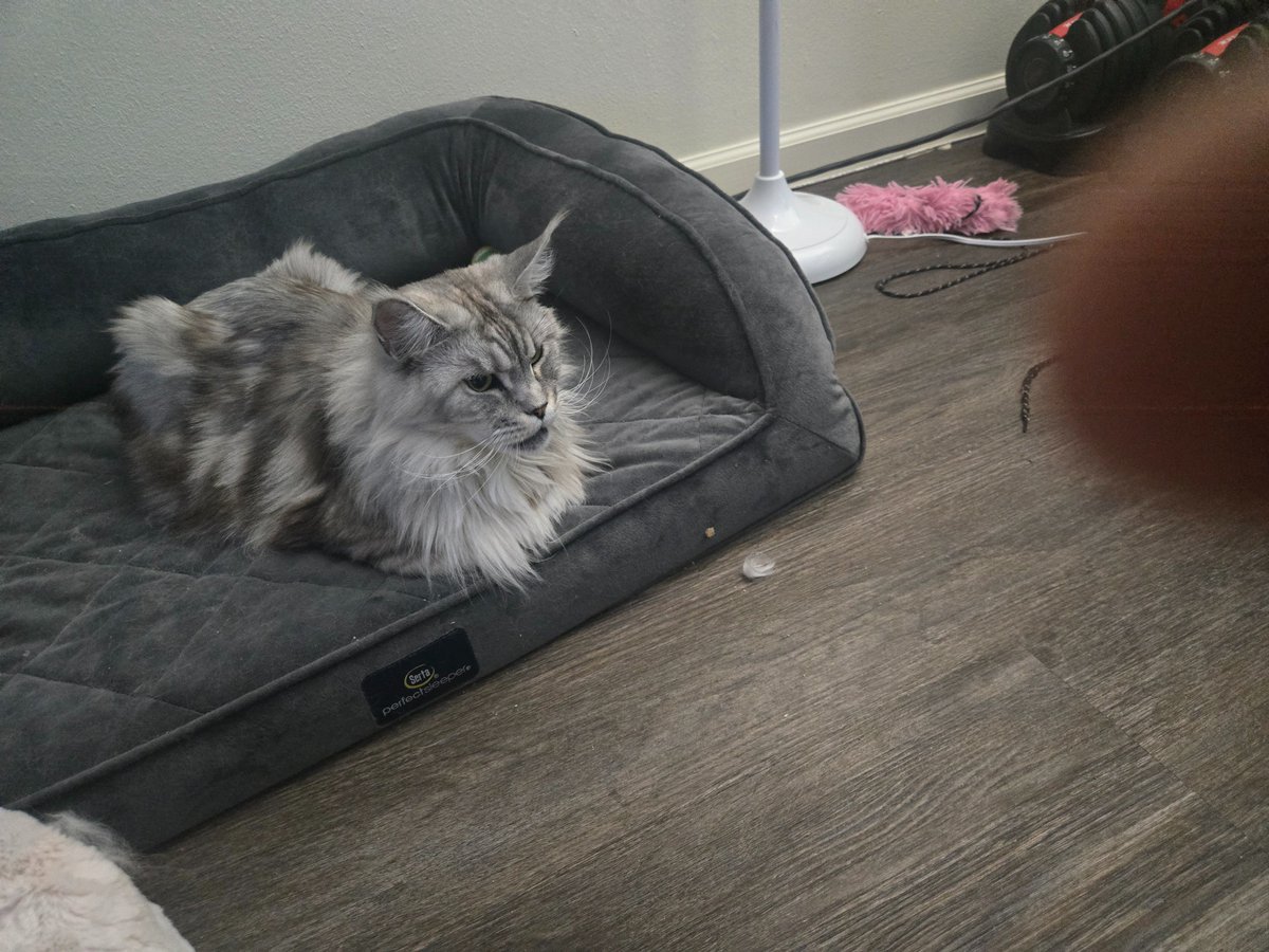 Peasant to the Royal Court tweet media