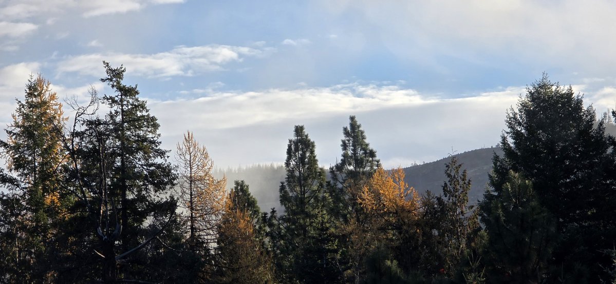 A nice day for shooting pics.