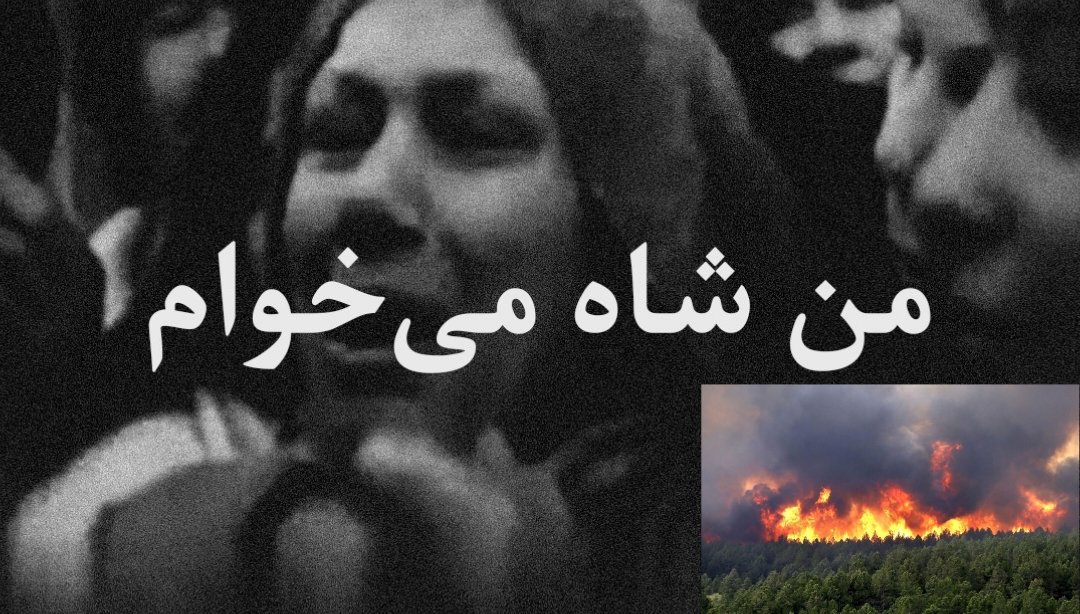 flamingo_irani2's tweet image. پنجاه سال پیش زد تو سر خودش گفت من شاه میخوام! 
+پرسیدن چرا؟! گفت آخه این عمامه ای ها مارو بیچاره میکنن، امنیت نداریم💔
#هیرکانی