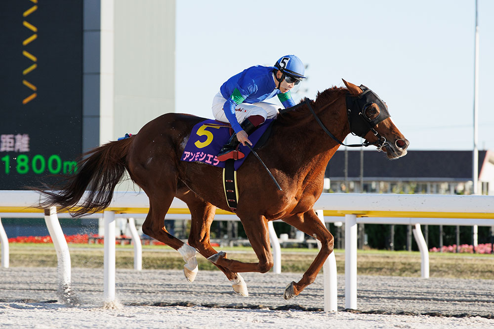 jimuin7035's tweet image. アメブロを更新しました。『3102 ｢農林水産大臣賞典第25回ＪＢＣシリーズ｣が行われました ①｡』
⇒ ameblo.jp/senohia7027/en… #アメブロ @ameba_officialより