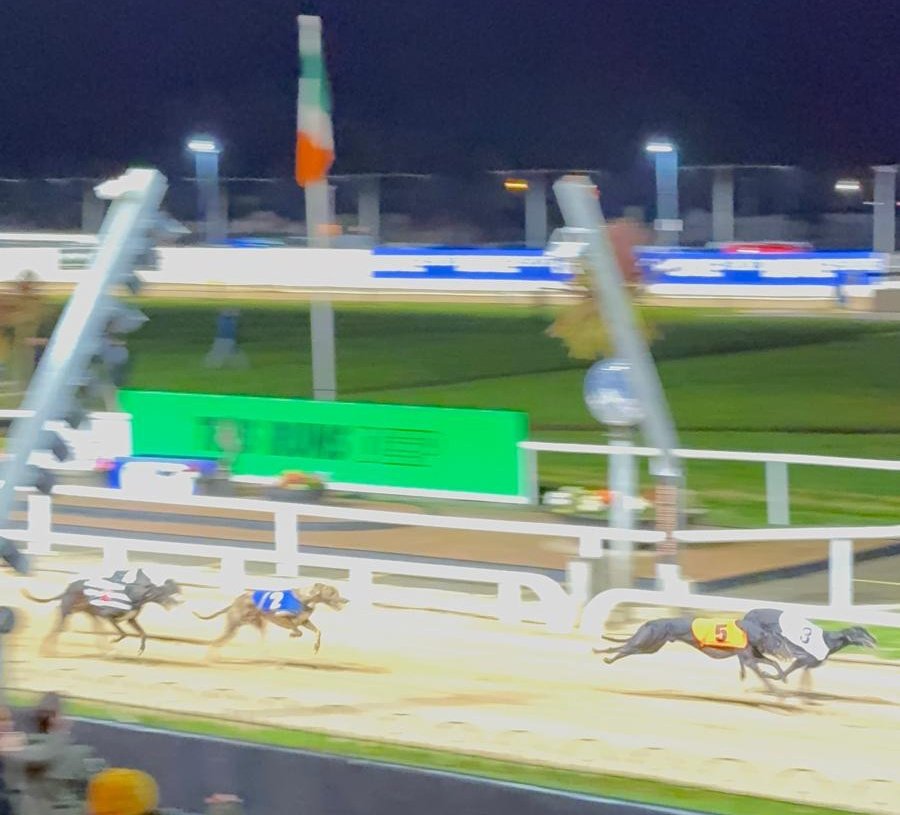 Race 7 The Winter Racing Festival Championship 575 Winner:

🏆 Droopys Faithful 
🕑 30:67

#WinterRacingFestival #GoGreyhoundRacing #ThisRunsDeep