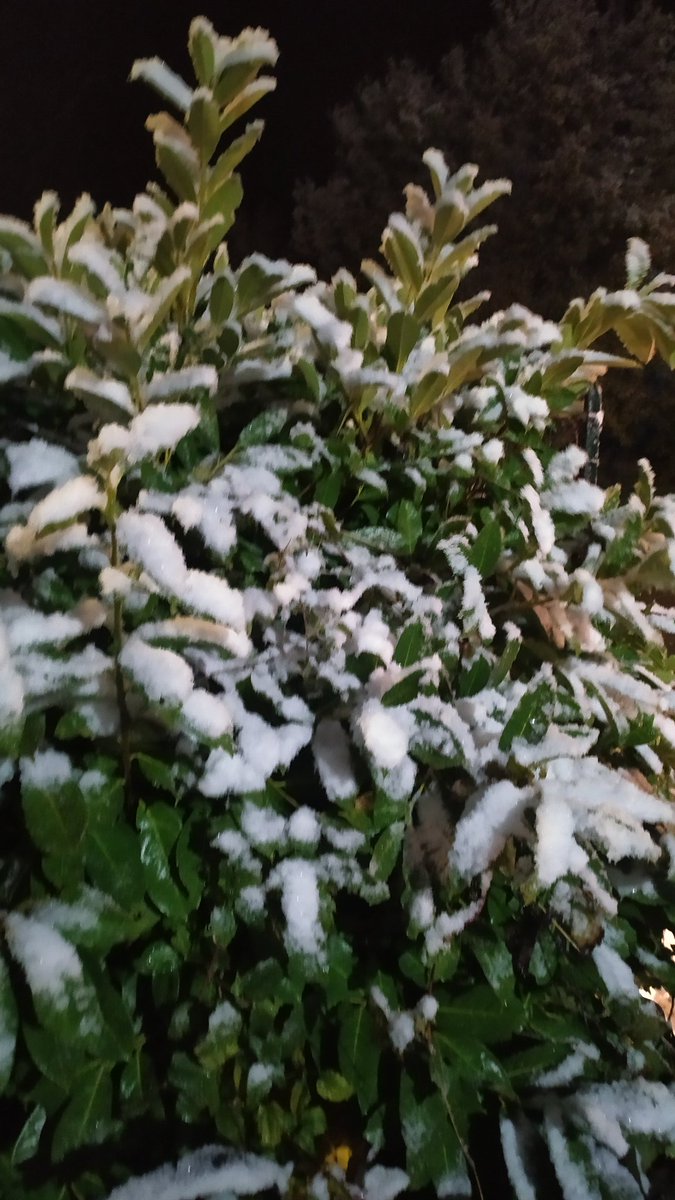 Prima #neve dell'inverno #amiata #amiatavideo #monteAmiata #montagna #amiata