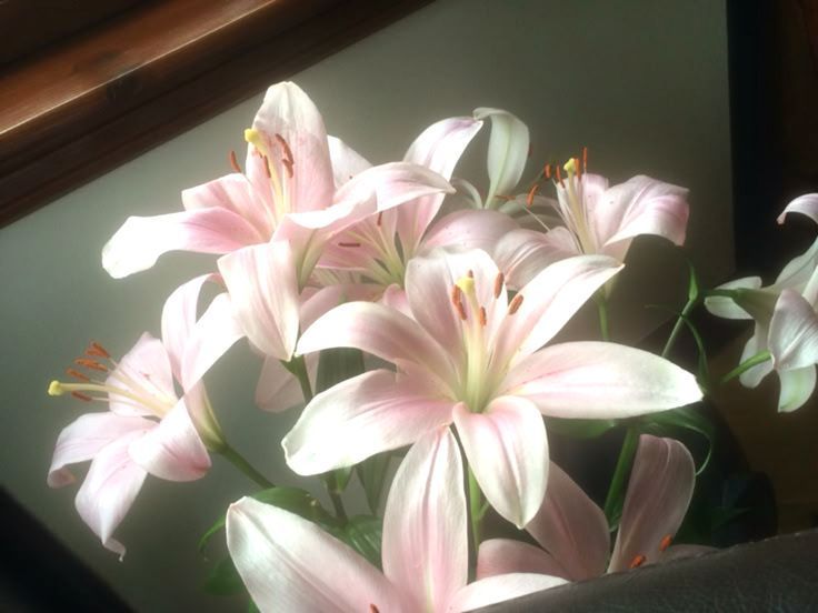 chaarpaai's tweet image. 