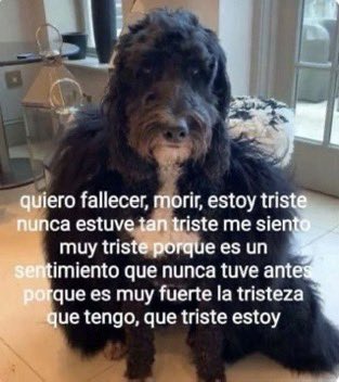 mis dos favs se eliminaron de los ultimos squid games