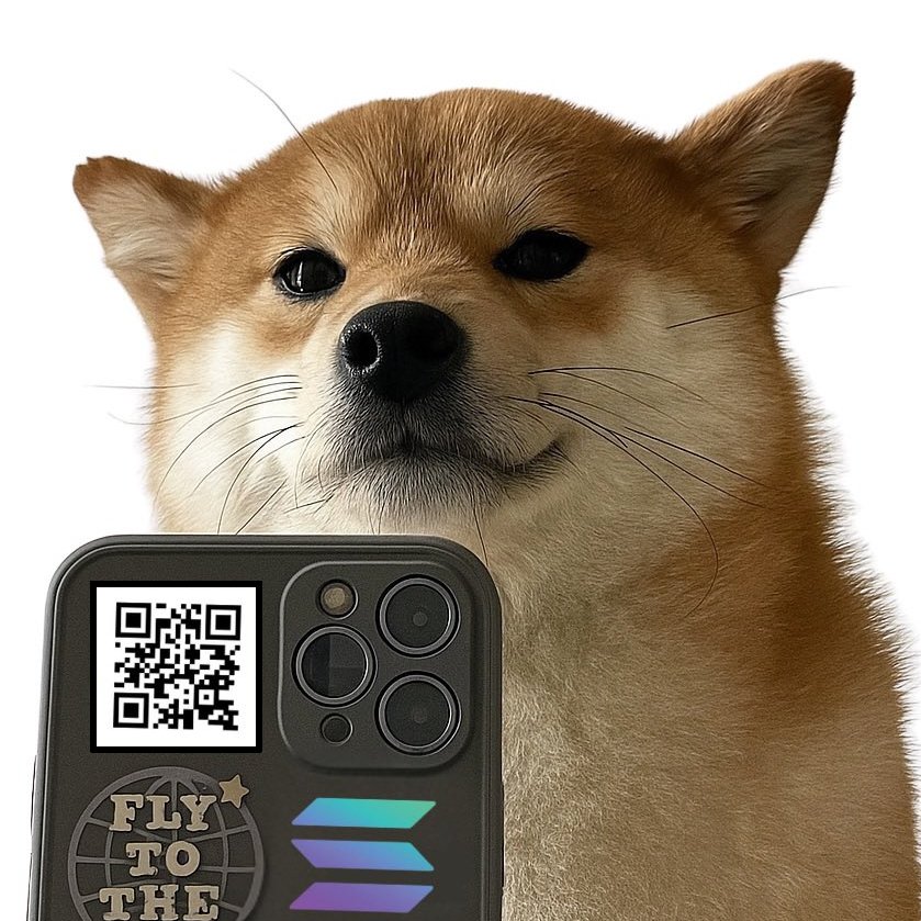 boydcaine1994's tweet image. Opportunity favors the patient. $SELFIE continues to build quietly, giving early observers a chance to establish a strong position before momentum grows 🤳🐕