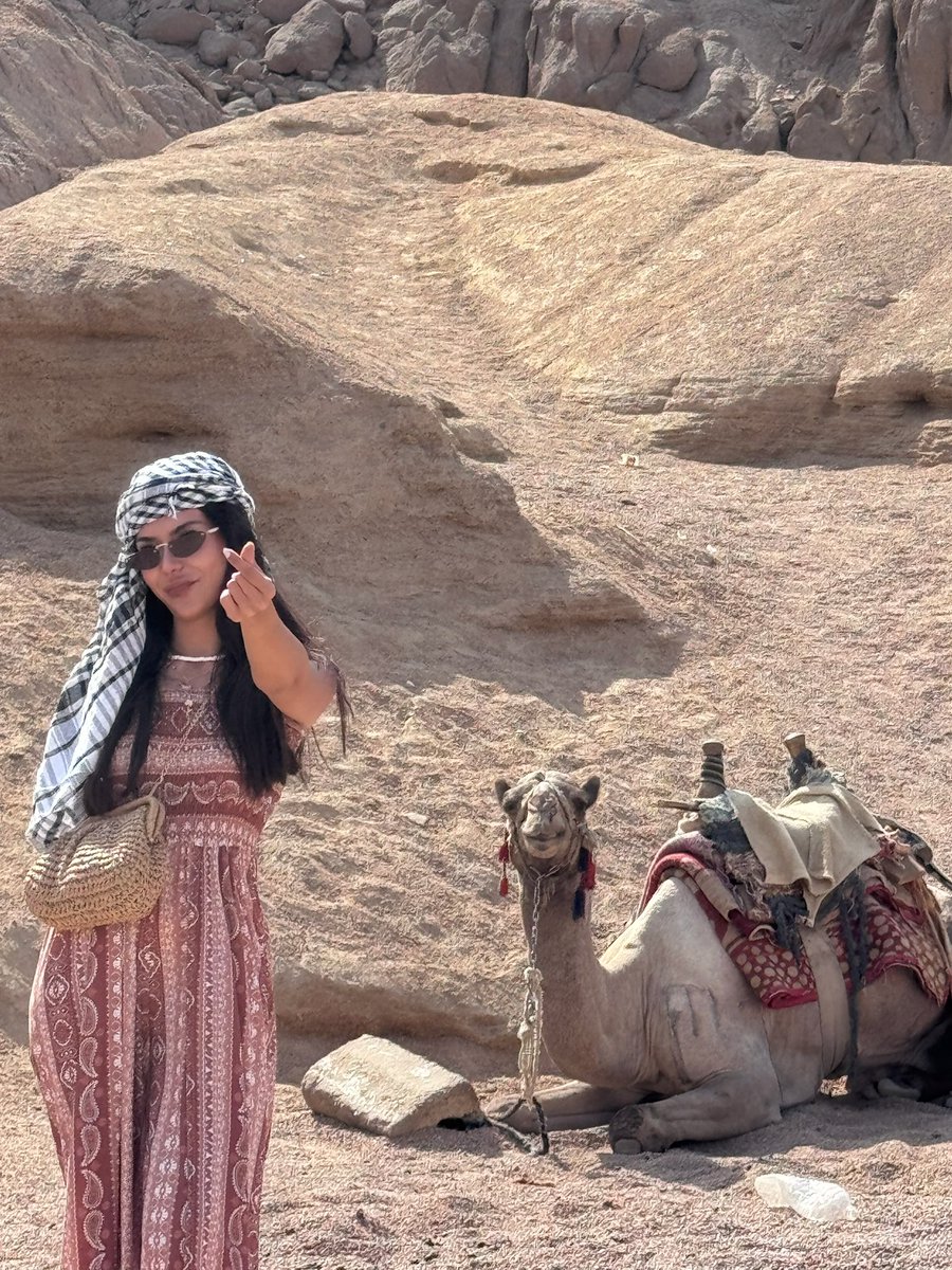 aseclkk's tweet photo. Egypt 💕 https://t.co/OXhWdibw1i