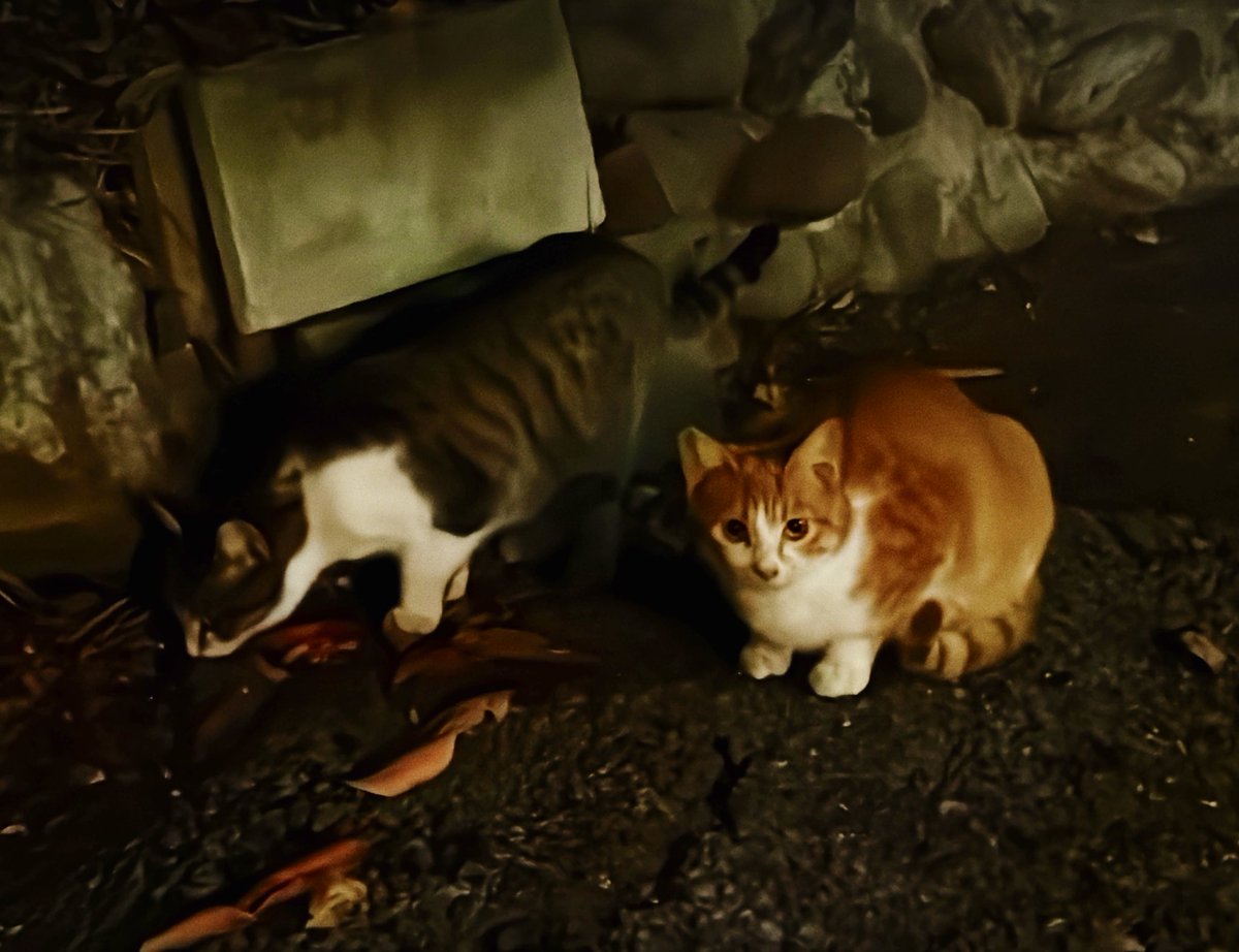 パンダ様＠隠居出来ない垢 (@superpachislo77) / Posts / X