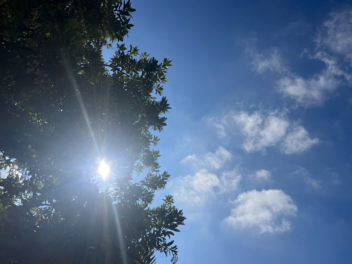 avoidkoolaid's tweet image. heading out