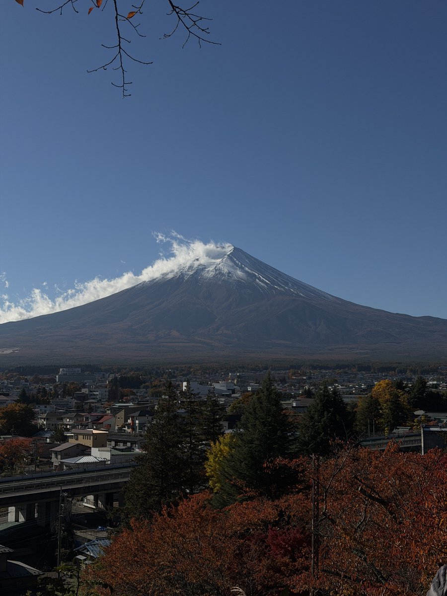 KobiVB's tweet image. 🇯🇵